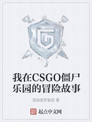 我在CSGO僵尸乐园的冒险故事小说封面