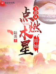 无敌从点燃木星开始小说封面