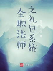 全职法师之礼包系统