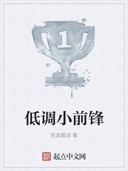 低调小前锋
