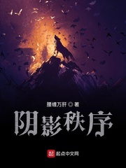 阴影秩序