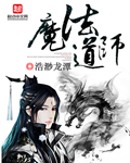 魔法道师小说封面