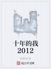 十年的我2012小说封面