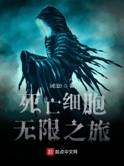 死亡细胞无限之旅