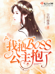 我把BOSS公主抱了小说封面