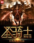 圣骑士的征途