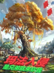 法师传奇3:玛法入侵好看吗