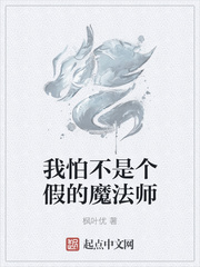 我怕不是个假的魔法师小说封面