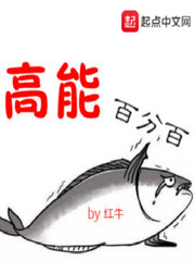 高能什么