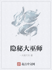 隐秘大巫师小说封面