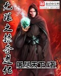 无限之掠夺进化