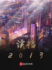 读档2013小说封面