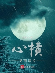 心横：梦雨滂沱小说封面