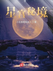 星宫秘境小说封面