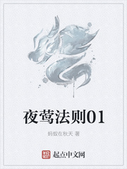 夜莺法则01