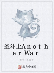 圣斗士AnotherWar小说封面