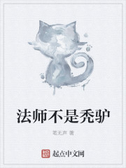 法师不是秃驴小说封面