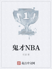 鬼才NBA小说封面