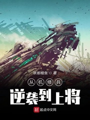 从机修兵逆袭到上将小说封面