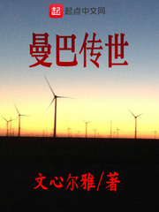 曼巴传世