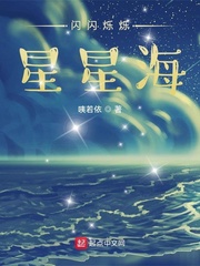 闪闪烁烁星星海小说封面