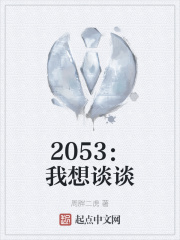 2053：我想谈谈小说封面