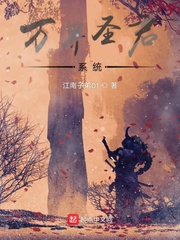 诸天万界圣师系统小说版