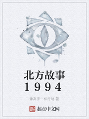 北方故事1994小说封面