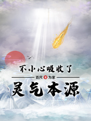 不小心吸收了灵气本源