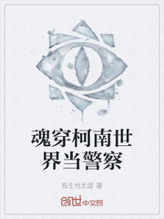 魂穿柯南世界当警察