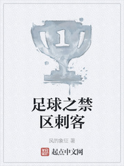足球之禁区刺客