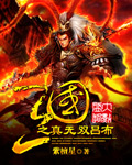 真三国无双7吕布传定陶之战