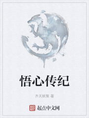 悟心传纪