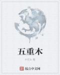 五重木小说封面