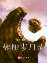 朝阳岁月录2