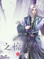 武林至尊之惊天剑