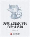 海贼之我是CP长官斯潘达姆小说封面