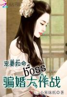 宠妻如命:boss骗婚大作战免费阅读