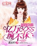 情深婚切：亿万BOSS缠不休小说封面