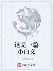 这是一篇小白文