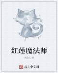 红莲魔法师小说封面