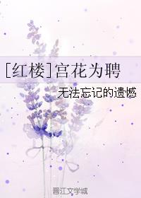 宫花为聘[红楼]小说封面