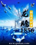 龙腾1856小说封面