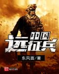 中国远征兵兵力