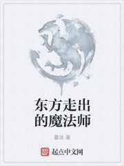 东方走出的魔法师小说封面