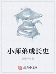 小师弟成长史小说封面