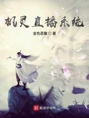 枫灵直播系统