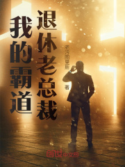 我的霸道退休老总裁