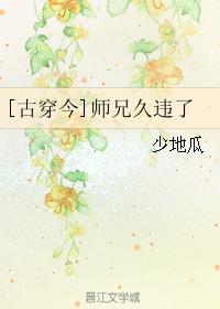 [古穿今]师兄久违了小说封面