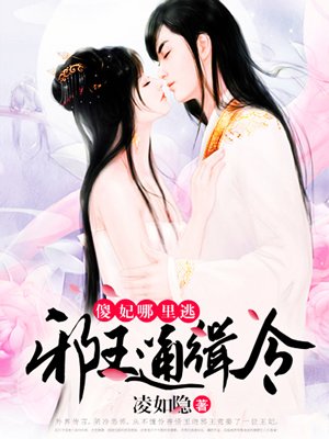 邪王通缉令：傻妃，哪里逃小说封面